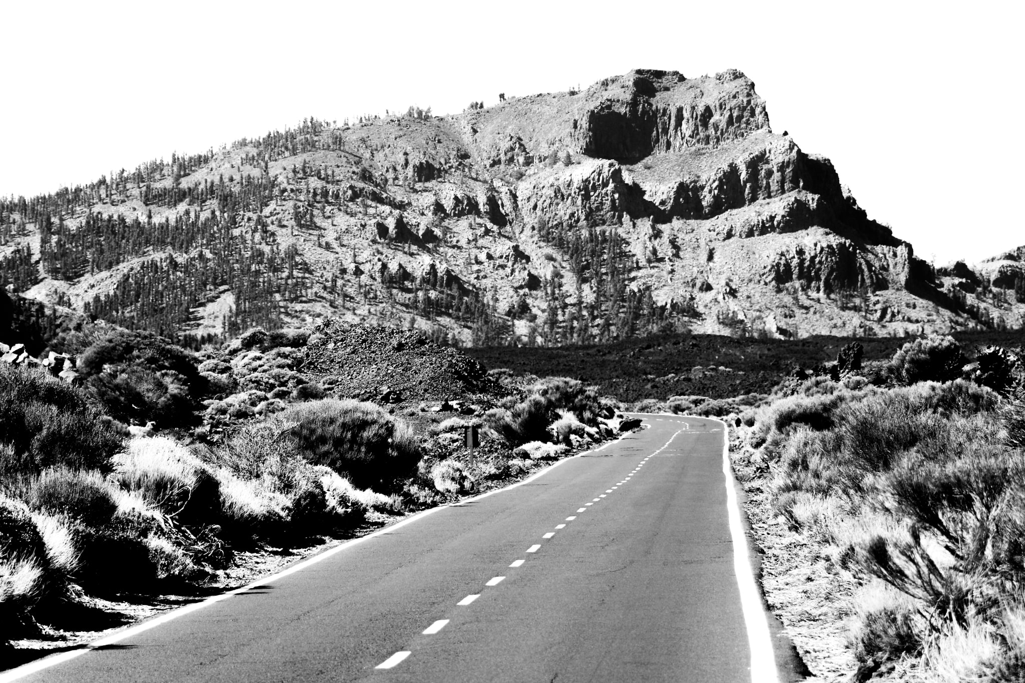 Road black&white Tenerife