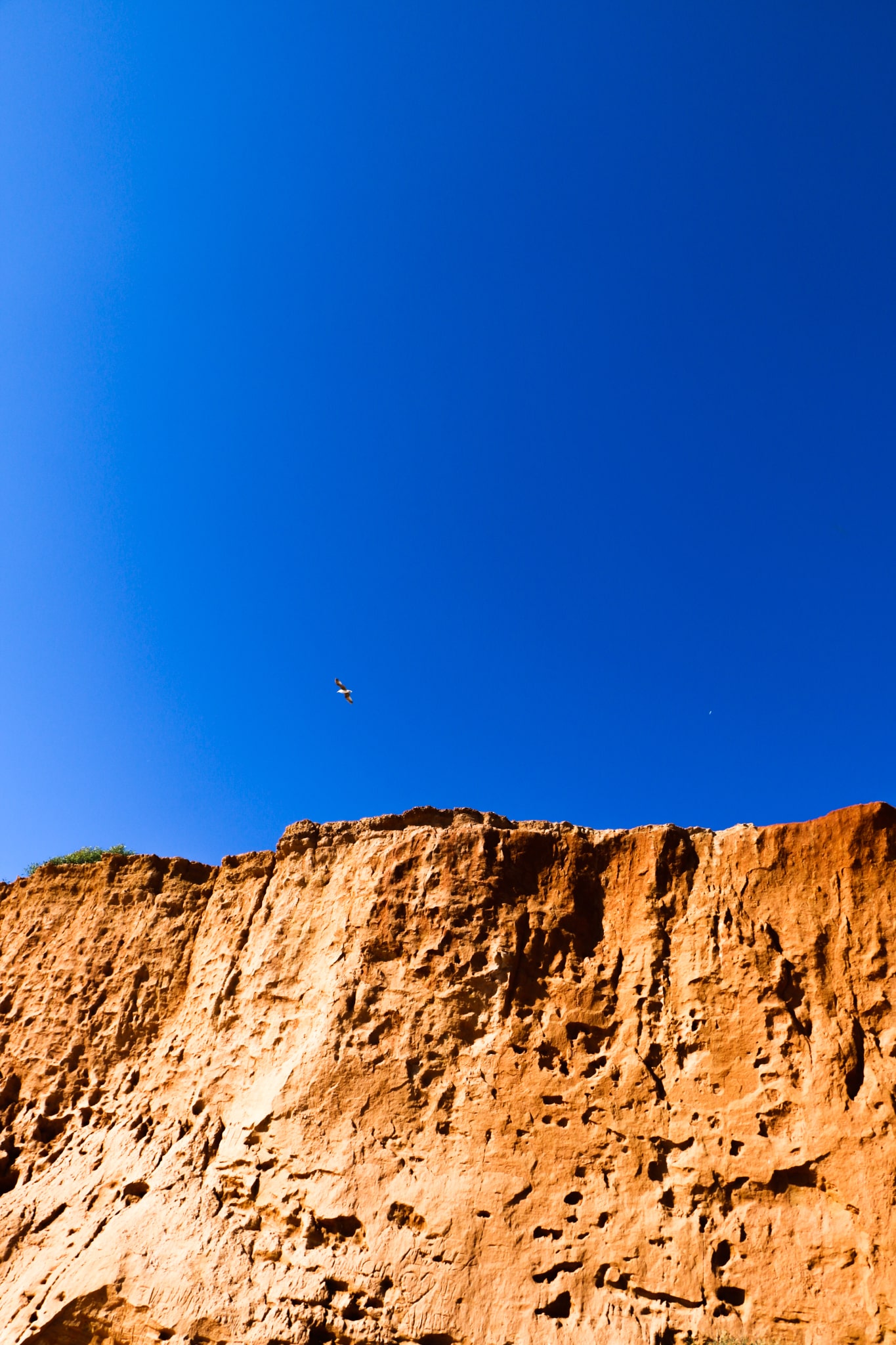 Cliff Portugal