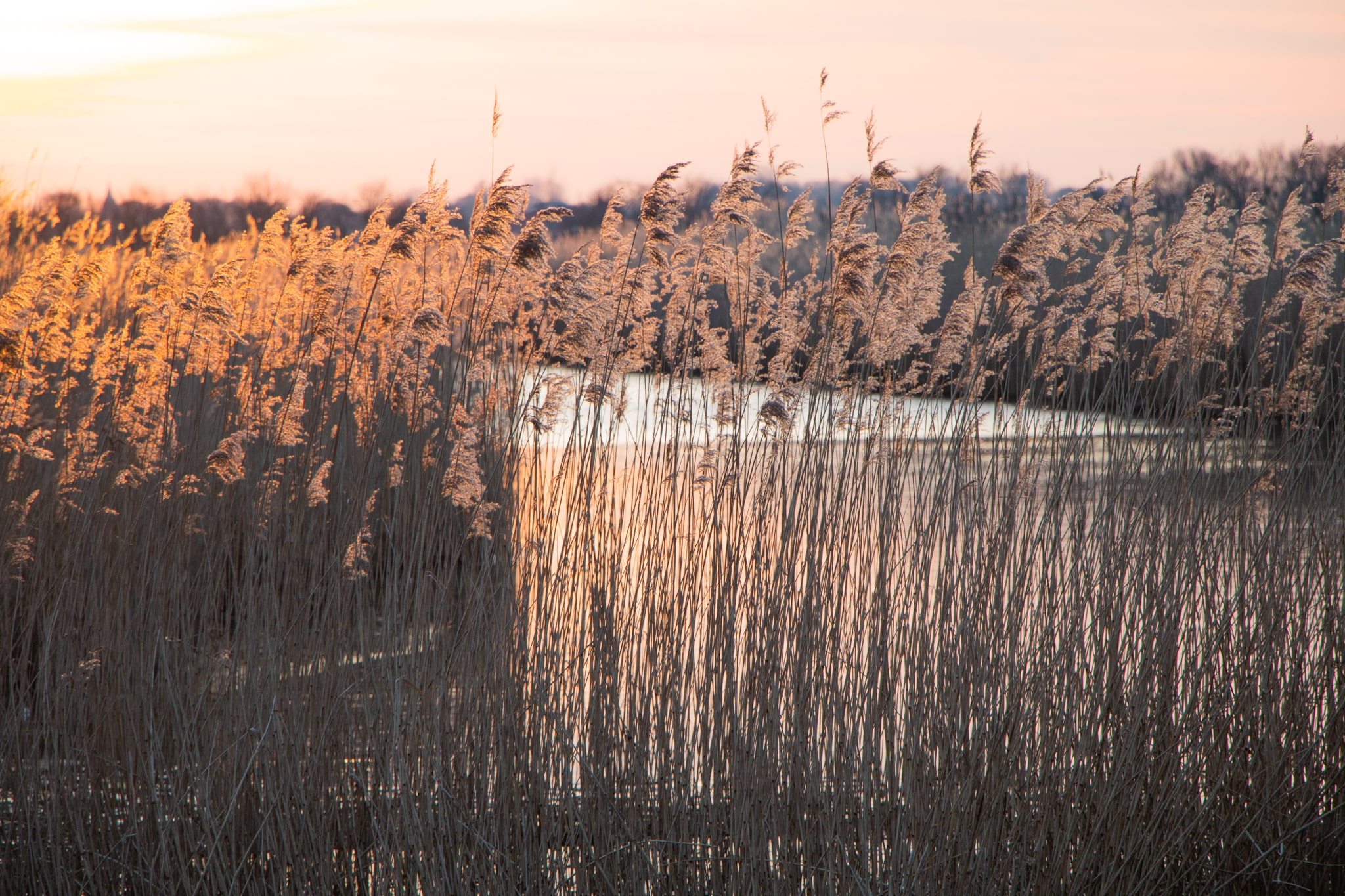 Nature Zeeland