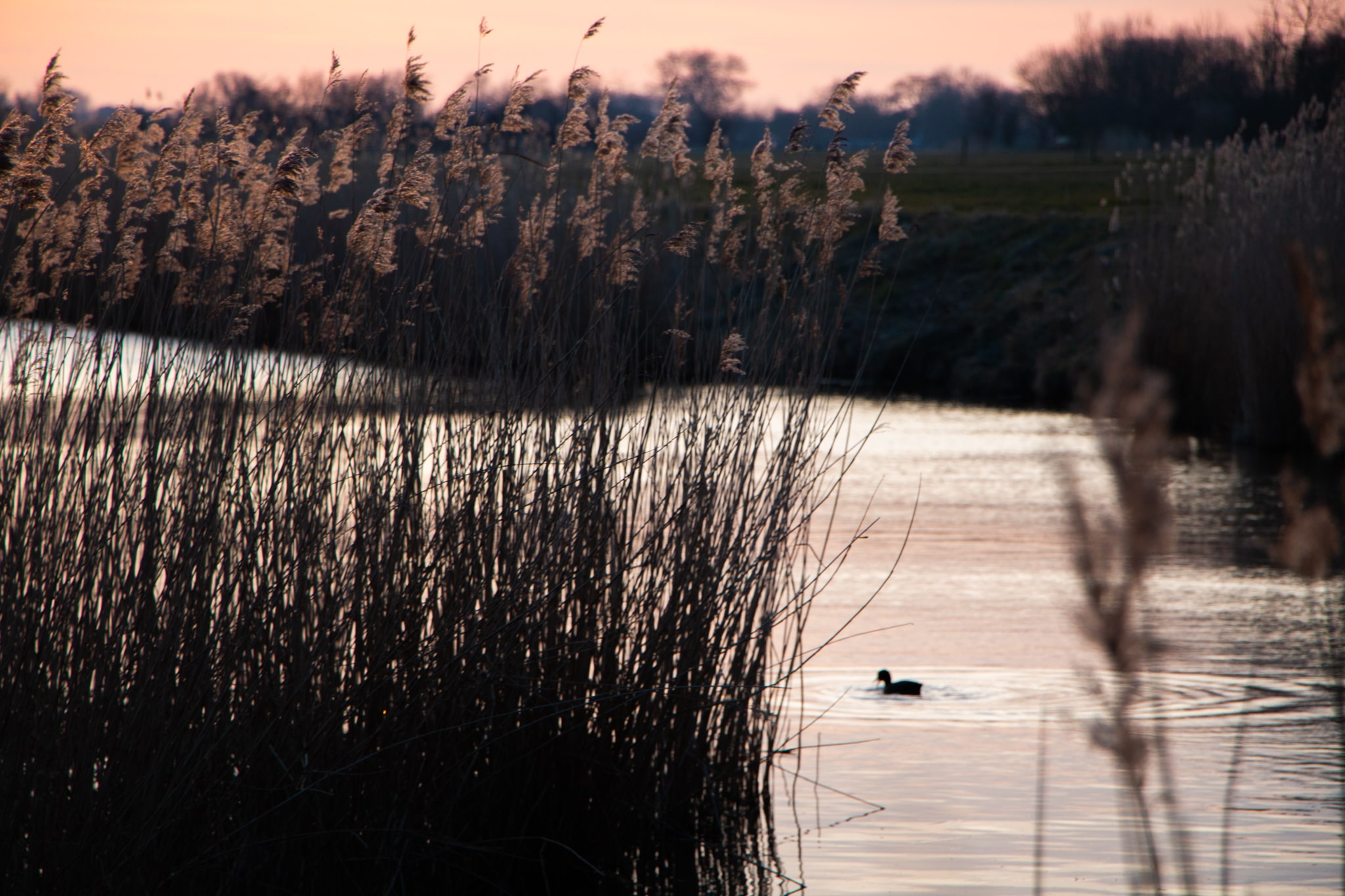 Nature Zeeland