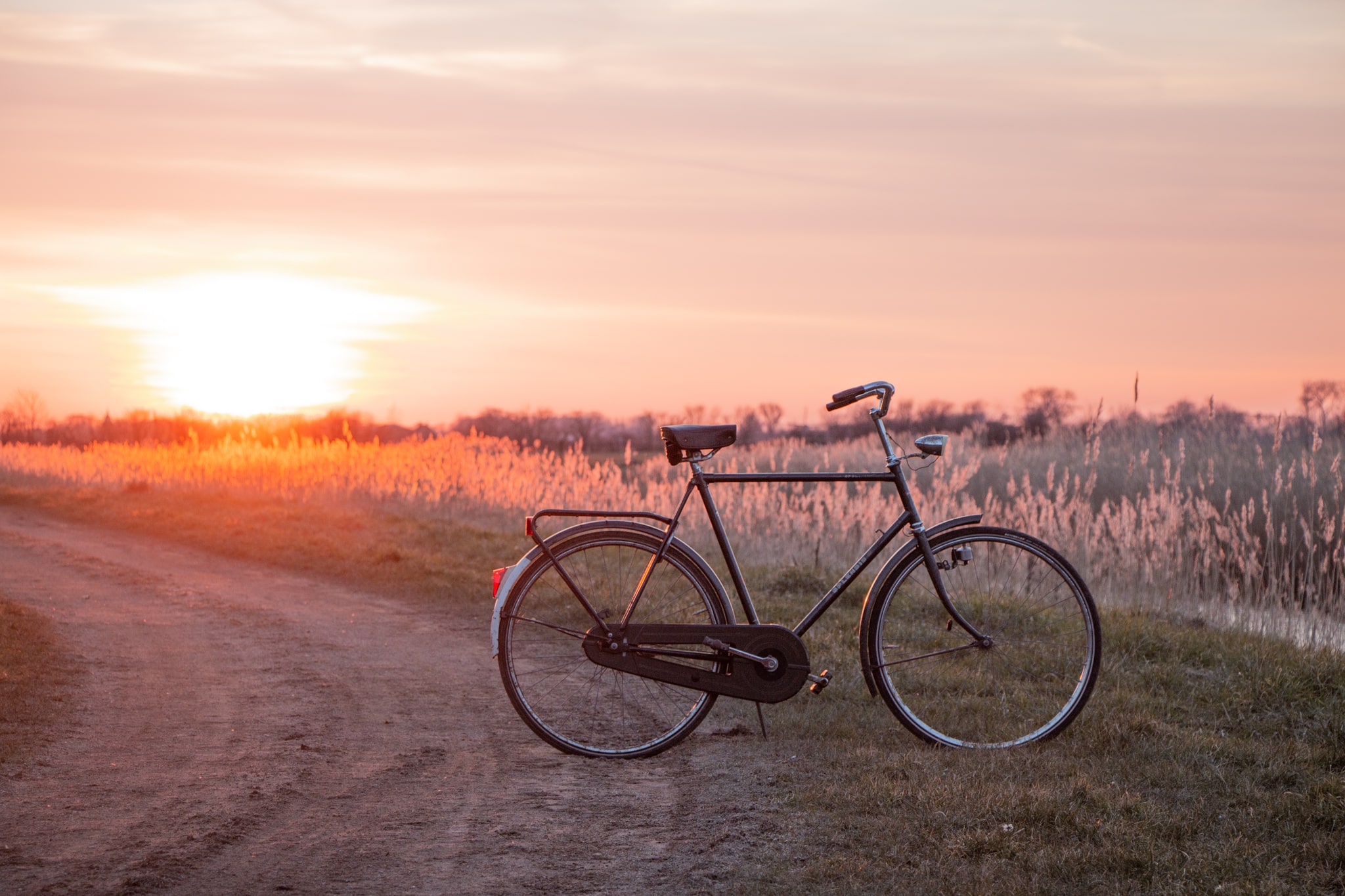 Bike in Dutch landscape Zeeland