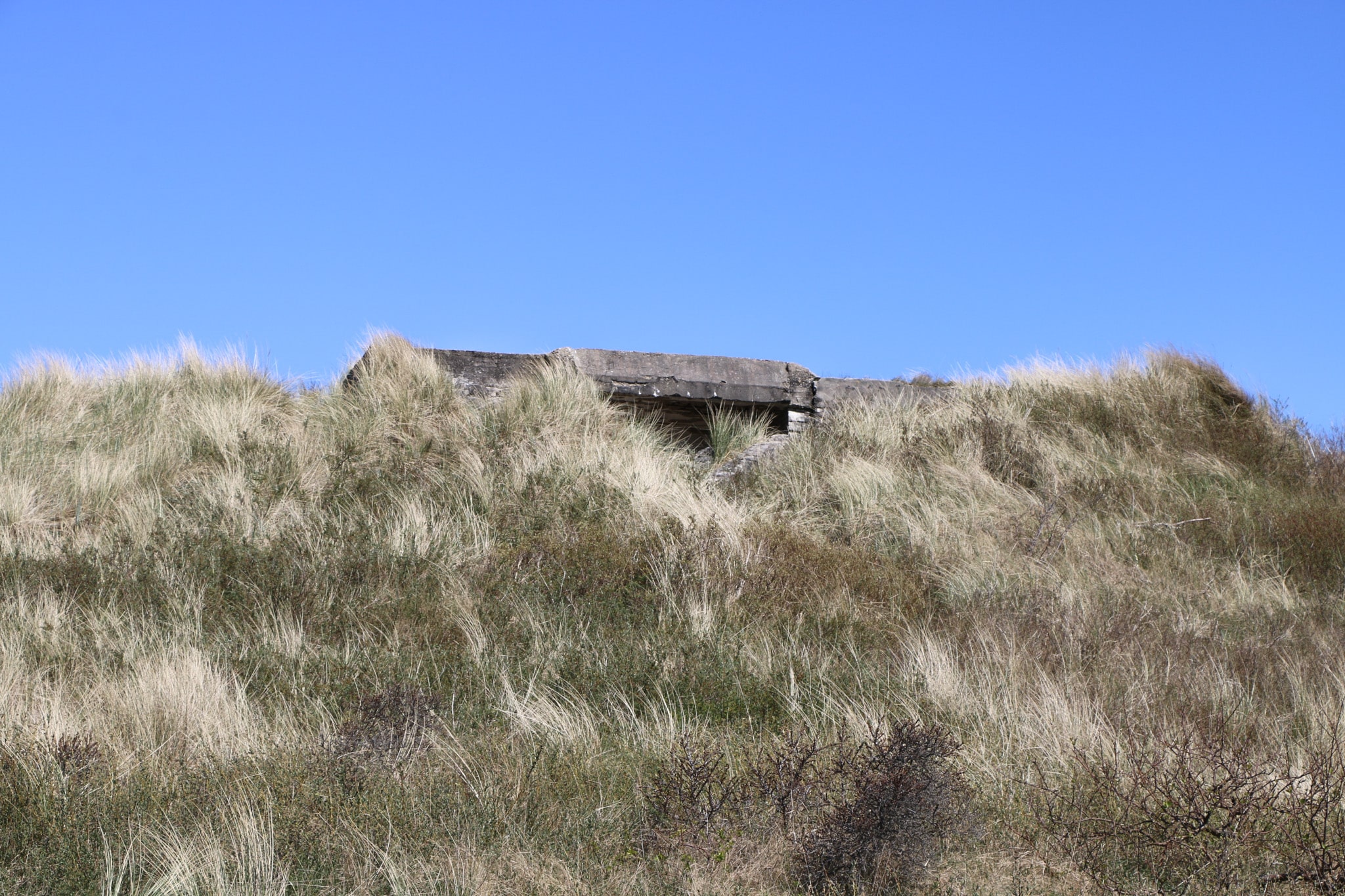 Bunker image 2