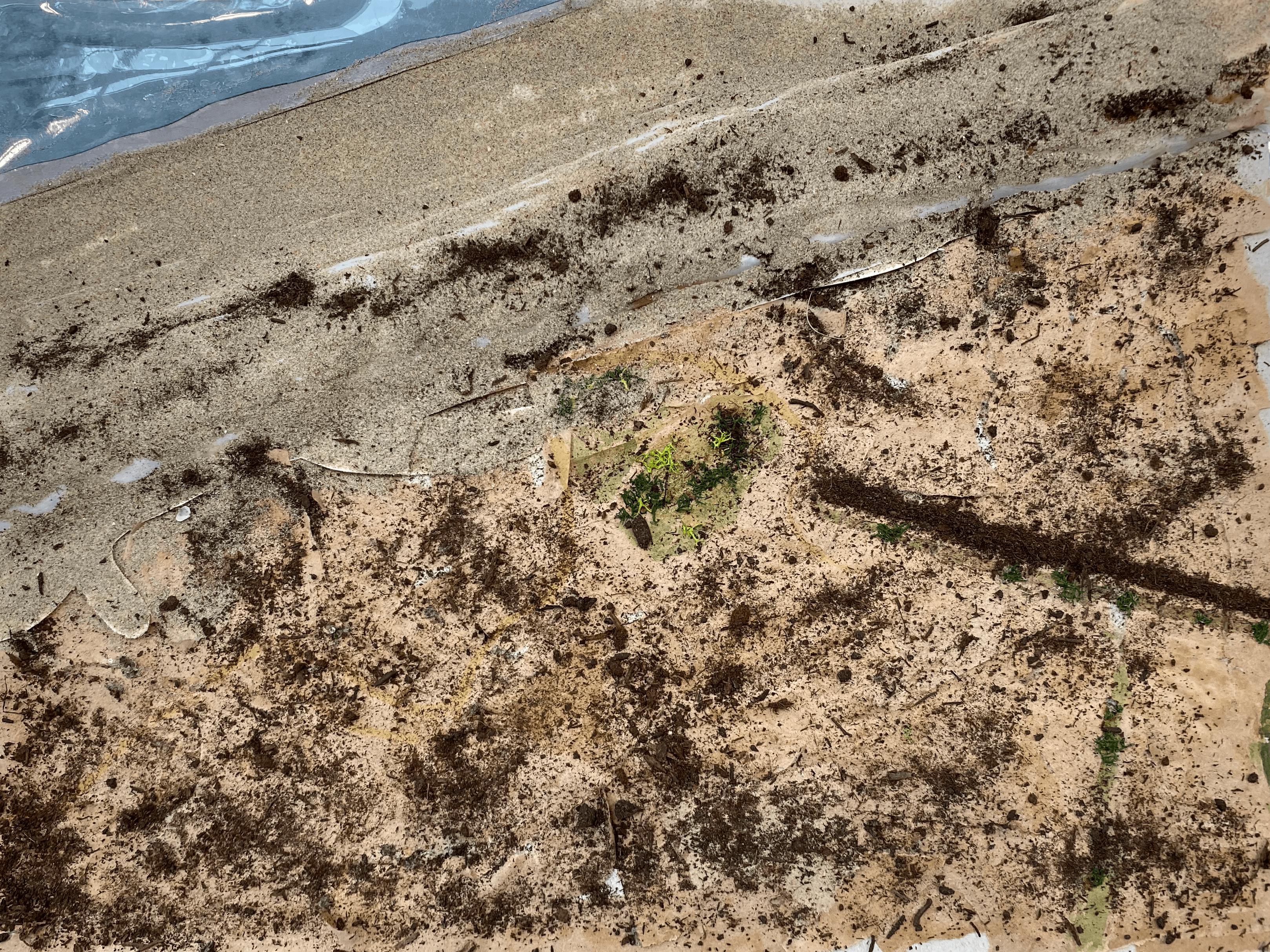 Model location