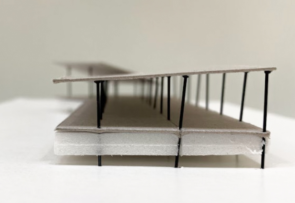 Model structure