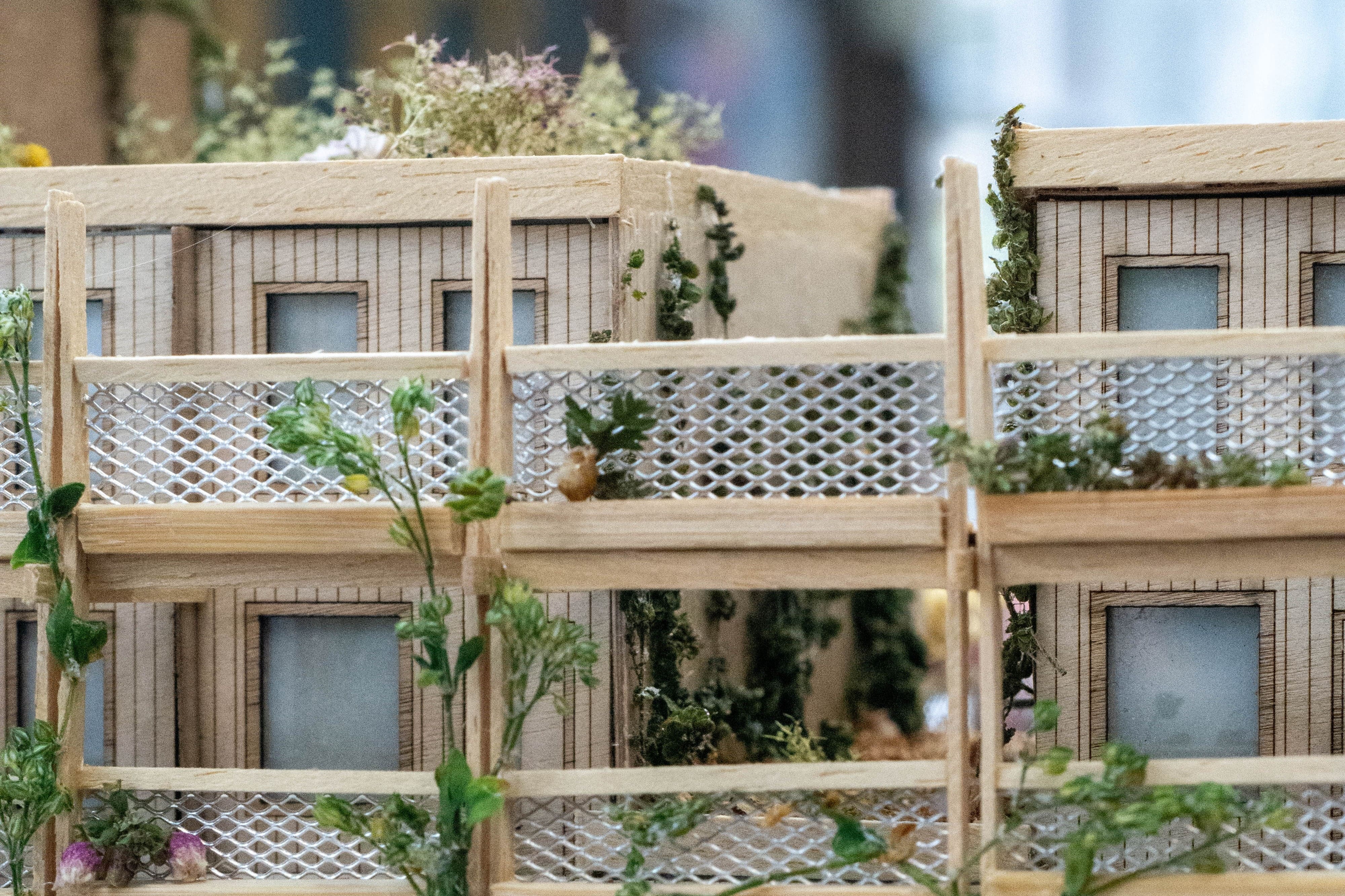 Rewilding Cities