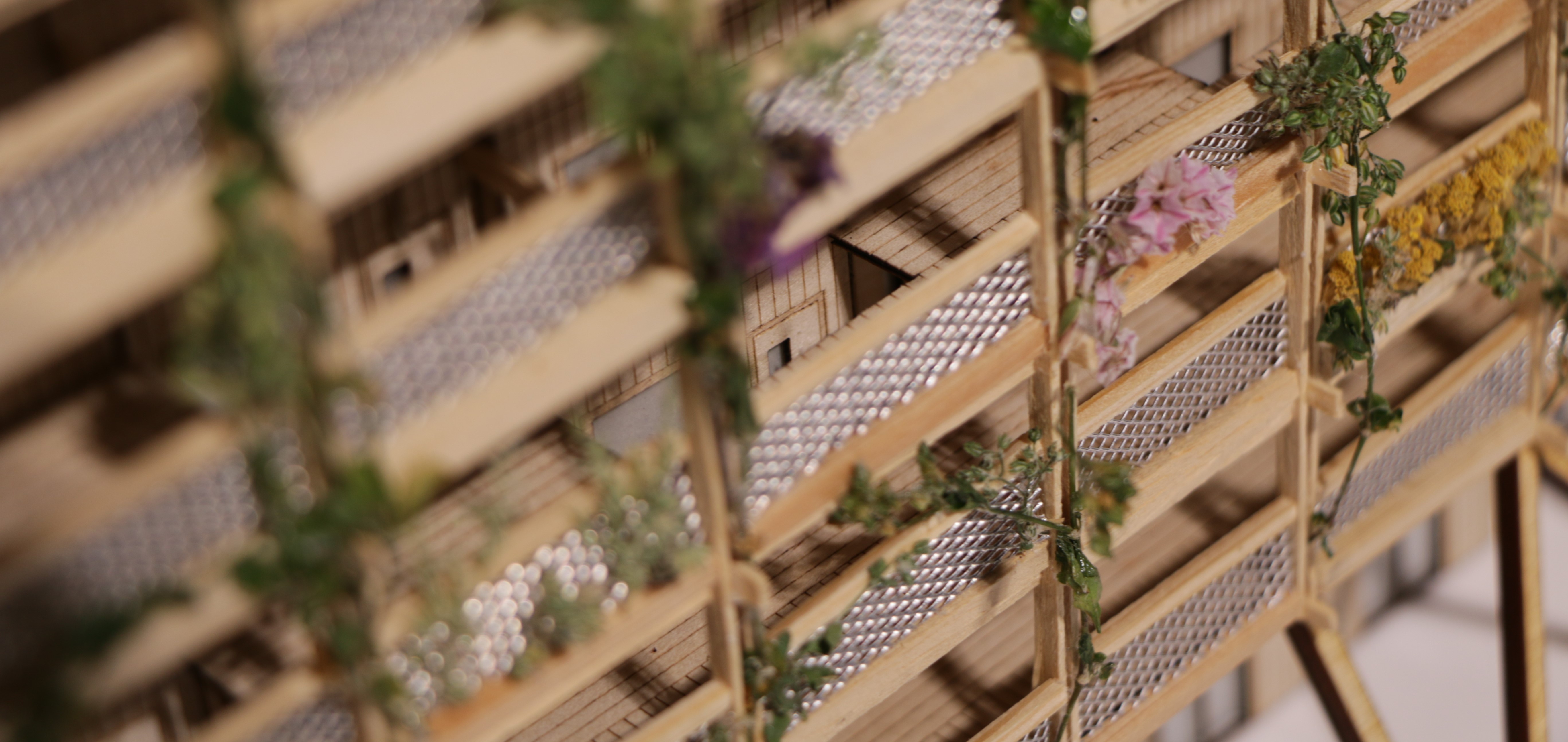Rewilding Cities Image