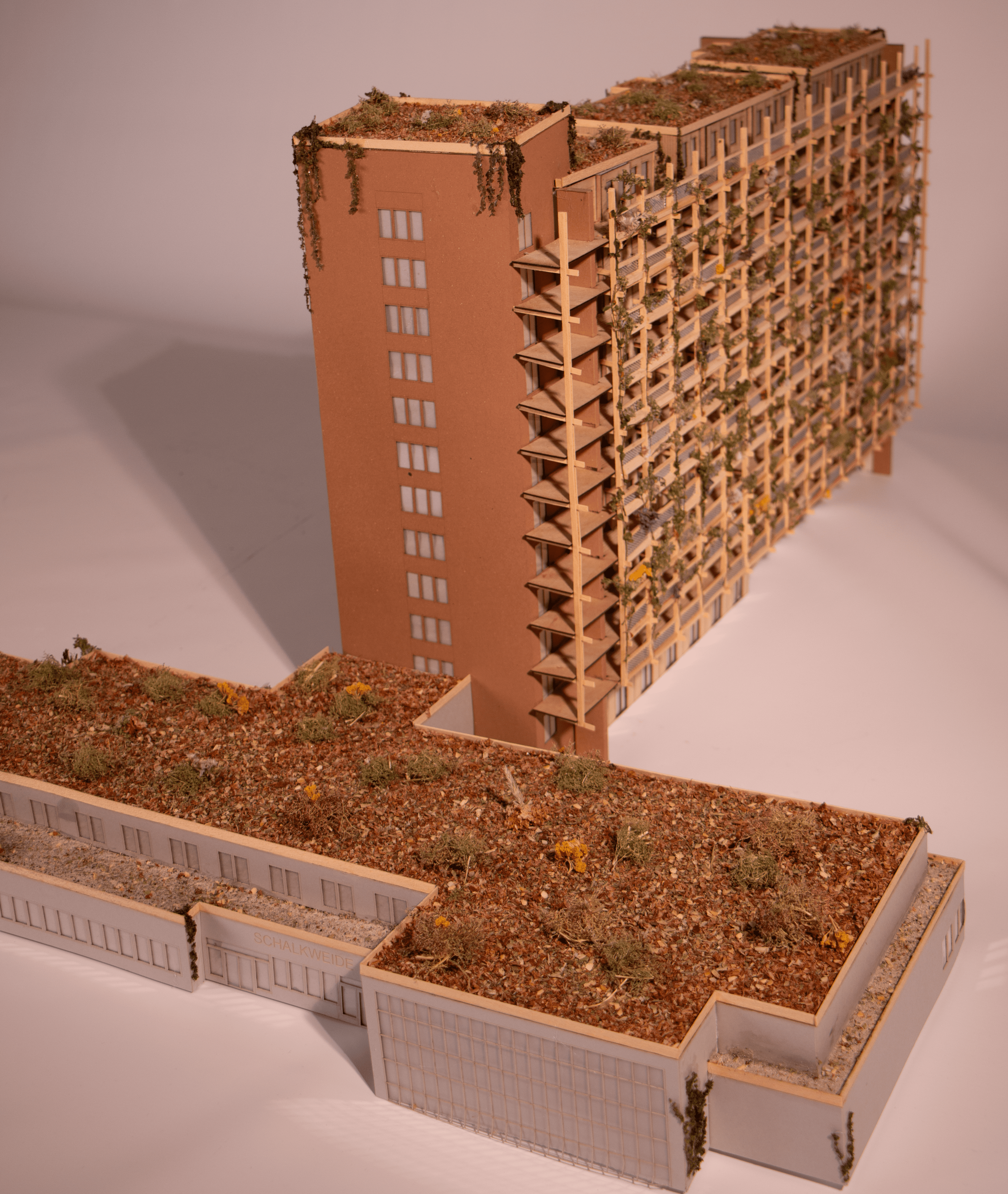 Model
