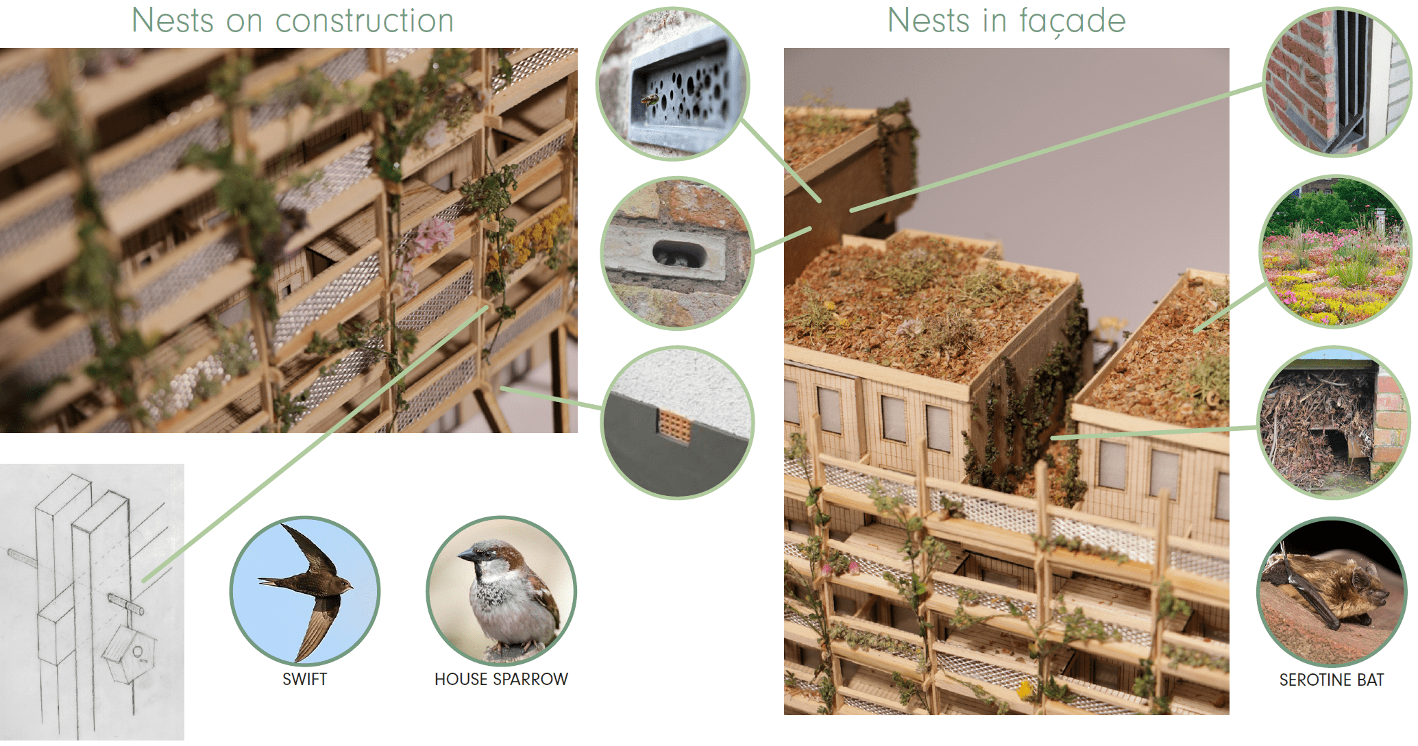 Ecological design interventions